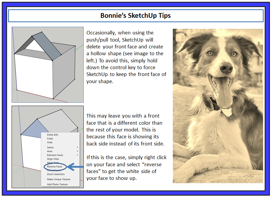 SketchUp Push Pull Bonnie Tip